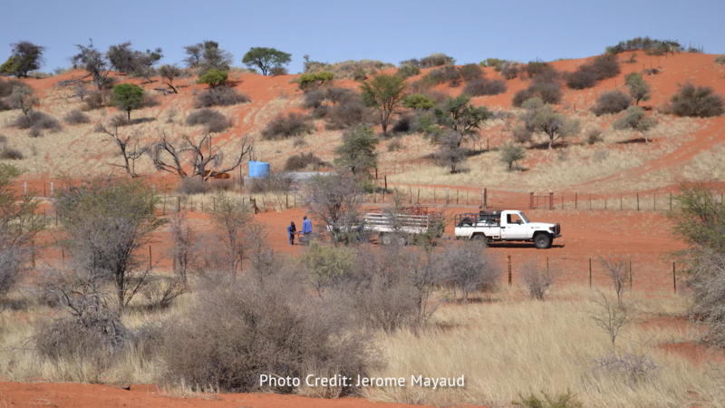 Fieldwork being undertaken in the Namibian desserts Drone shot of a truck and two people in the Namibian desserts